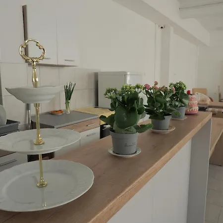 Rosica Apartament Ribarska Banja