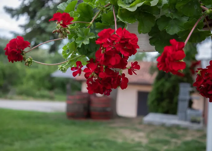 Rosica Ribarska Banja