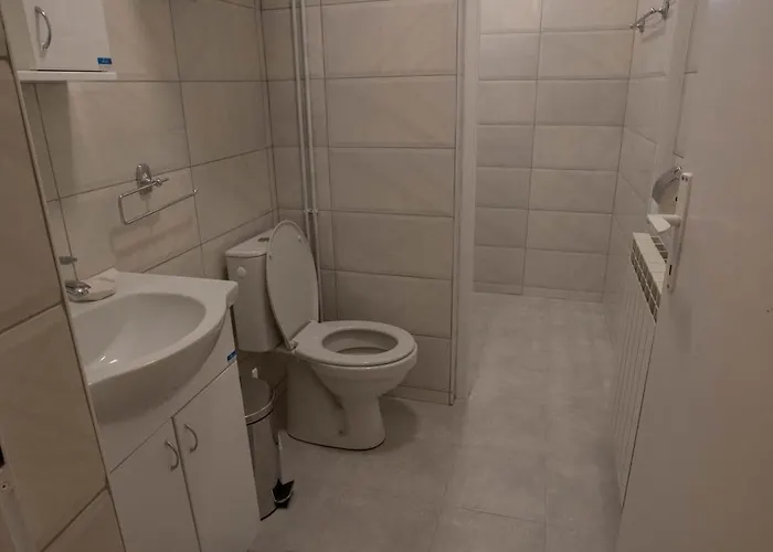 Rosica Daire Ribarska Banja