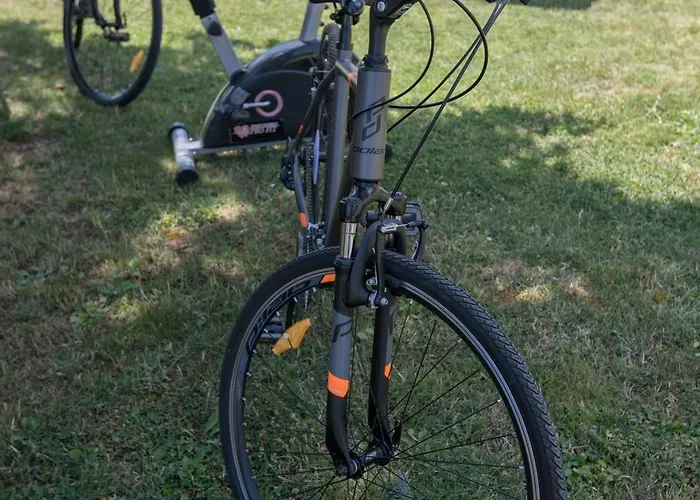 Rosica * Ribarska Banja